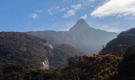 Adam’s Peak (Sri Pada) overview