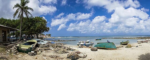 Point Pedro coast