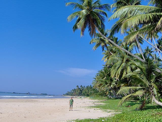 Polhena Beach