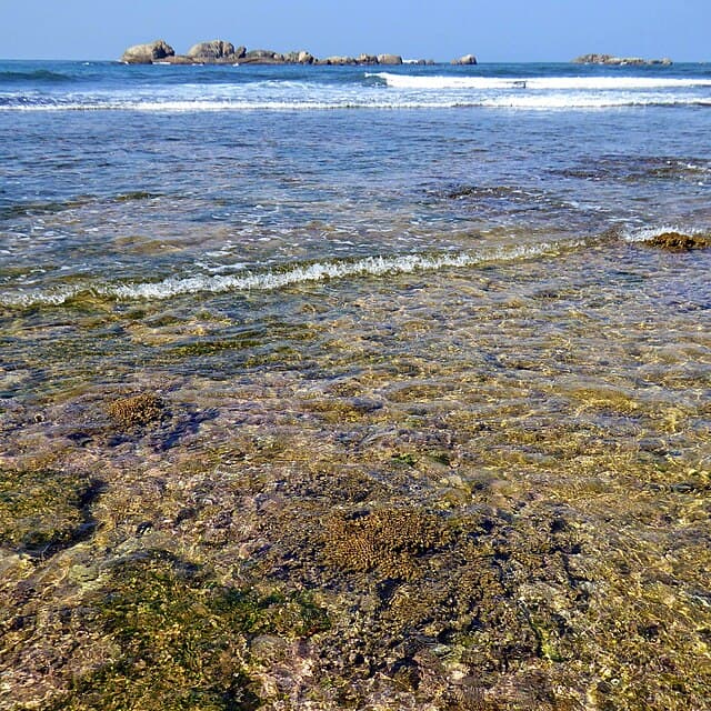 Hikkaduwa reef