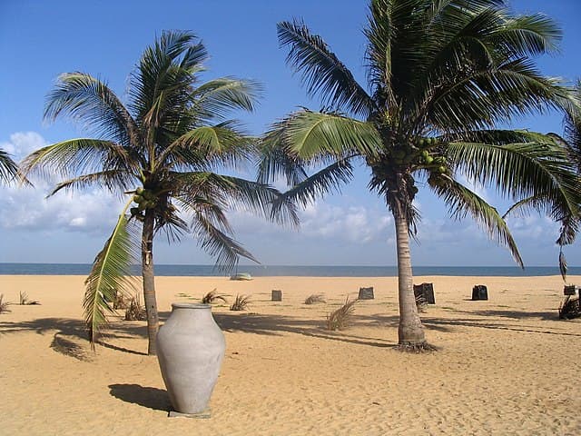 Negombo beach
