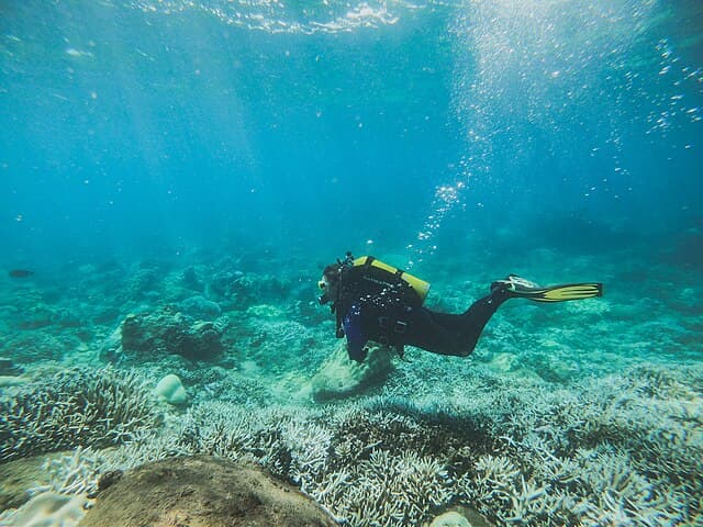 Snorkelling reef