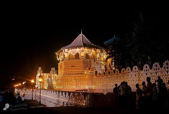 Temple of the Tooth Ceremony overview