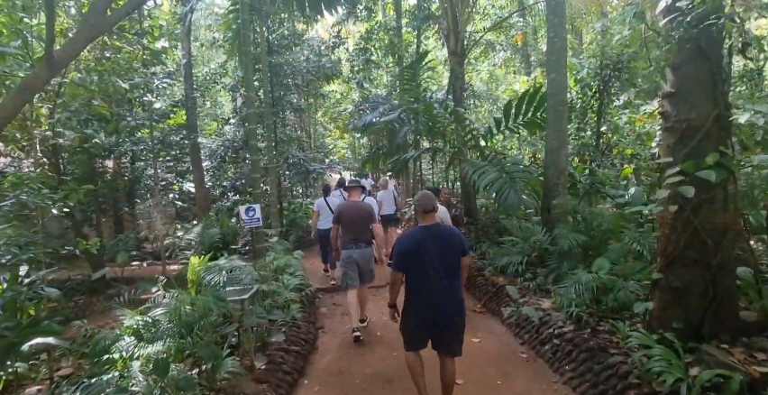 Spice garden walk