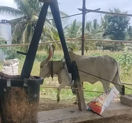 Coconut mill