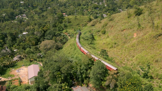 Demodara loop