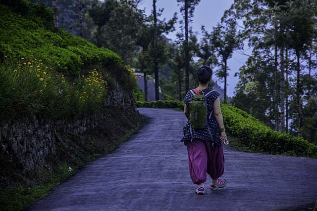 Tea estate trail