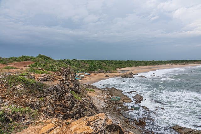 Coastal dunes
