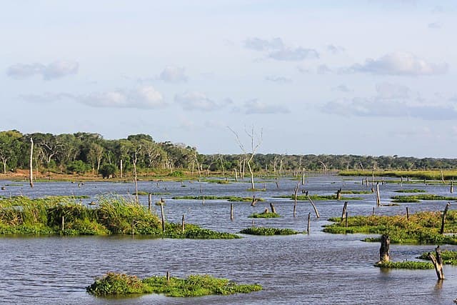 Wilpattu villu lake